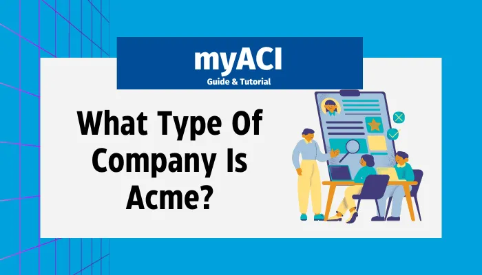 What Type Of Company Is Acme?